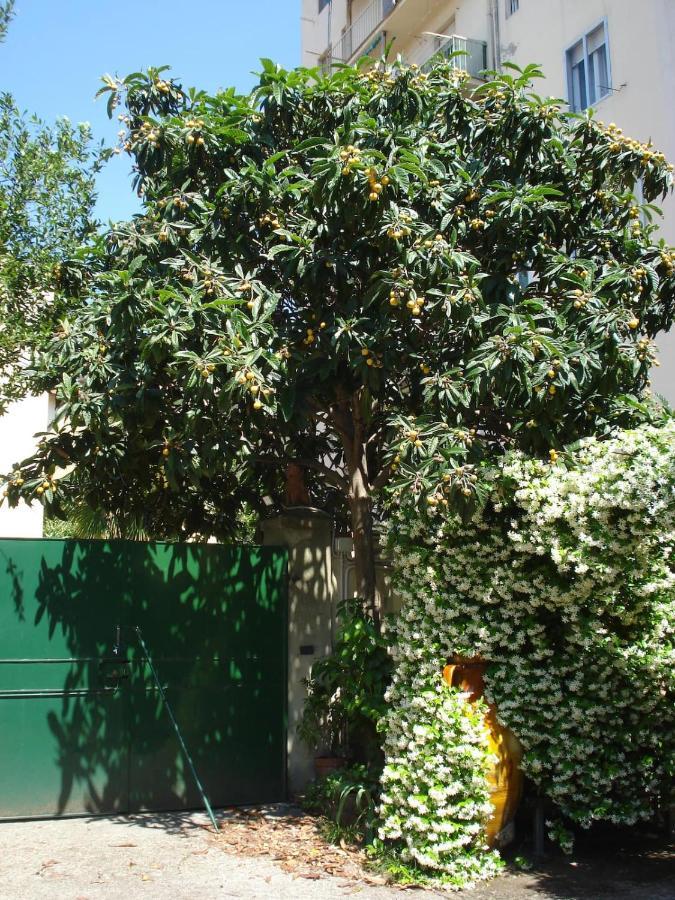 Appartamento Casa Del Gelsomino E Del Nespolo